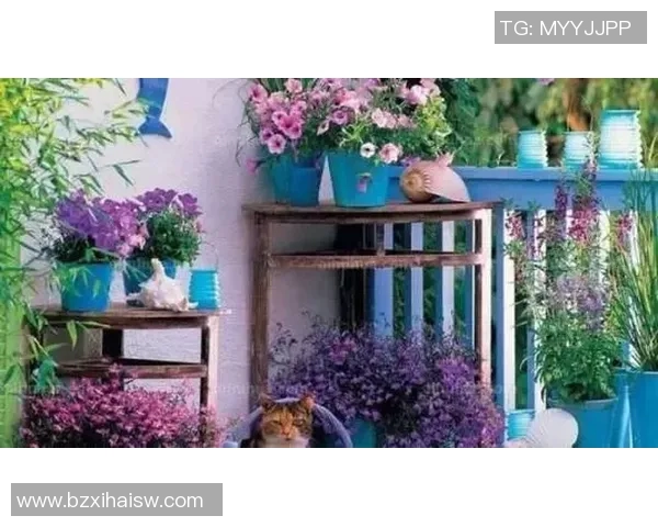 花卉种植技巧与养护知识全面解析，打造美丽花园的实用指南